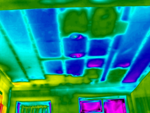 Home-thermal-image